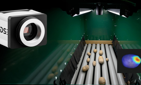 AI-based potato sorting system with a rugged industrial camera for visual quality control in on-farm processing