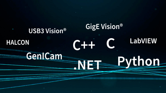 Thumbnail of Vision Channel Session “uEye+ Interfacing”, below are interfacing terms