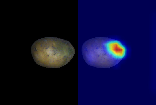 Potato with a side-by-side AI surface analysis that highlights relevant features in color.