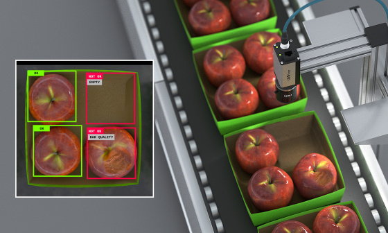 An IDS NXT camera checks the completeness and quality of apples in packaging on a conveyor belt.