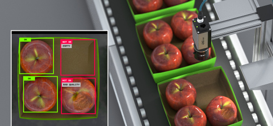 IDS NXT checks the completeness and quality of apples on a conveyor belt