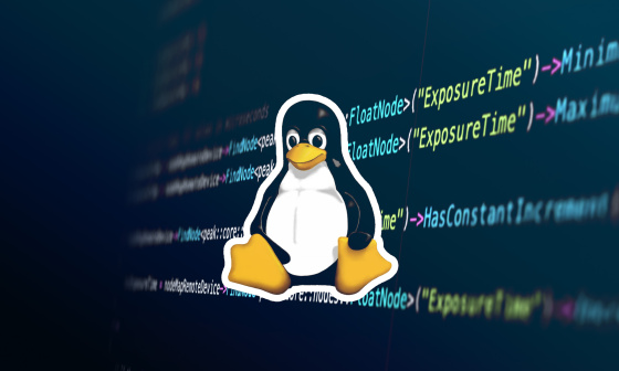 Linux logo and programming code