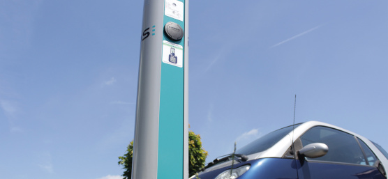 IDS: sustainable and ethical business actively protects the environment