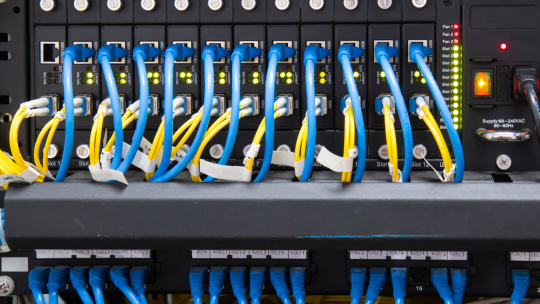 Network switch with connected blue and yellow cables