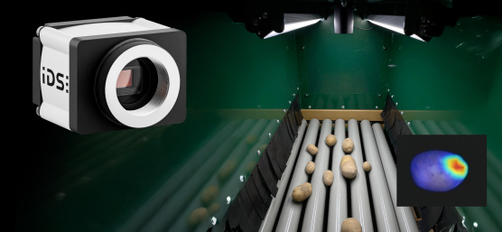 AI-based potato sorting system with a rugged industrial camera for visual quality control in on-farm processing
