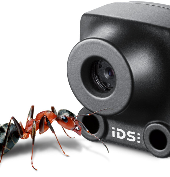 IDS XS camera and an ant for comparison in front of it