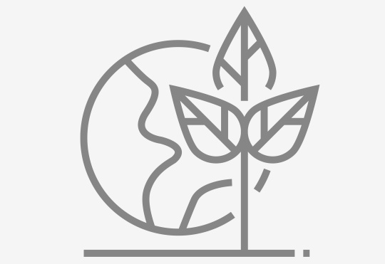 IDS sustainability icon