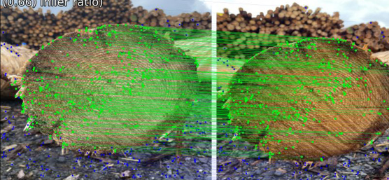 Identification of individual tree trunks based on visual features in image data