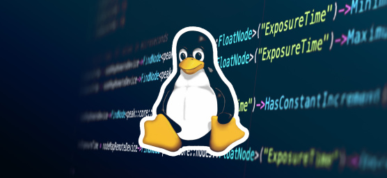 Linux logo and programming code