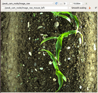 WähWhile the robot drives through the fields, the camera records the maize plants from above