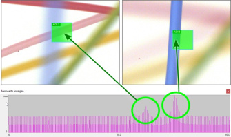Measurement window and focus range can contain several focus maxima.