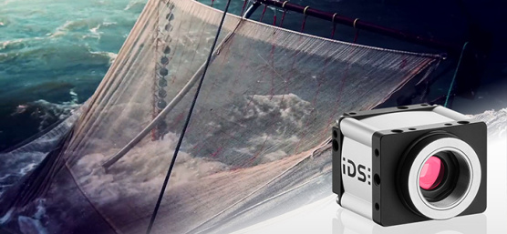A fishing net in the sea, with an IDS industrial camera in the foreground.
