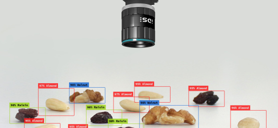 AI Applications of Inference Cameras