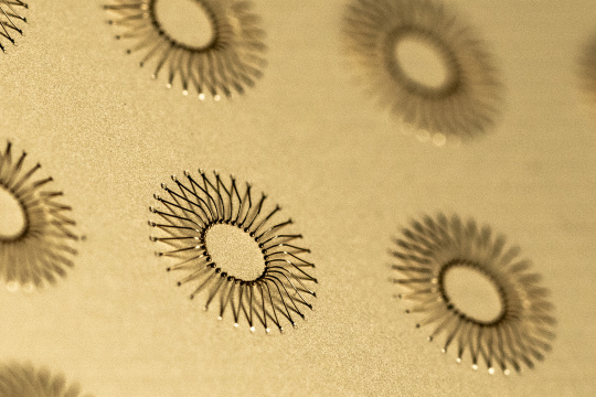 Visualization of bond circles on gold plate