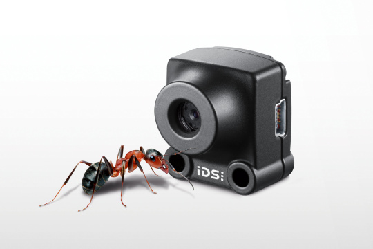 IDS XS camera and an ant for comparison in front of it