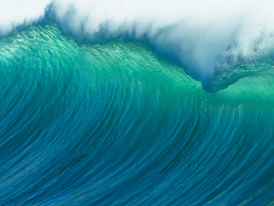 Turquoise-green wave as a symbol of sustainability at IDS