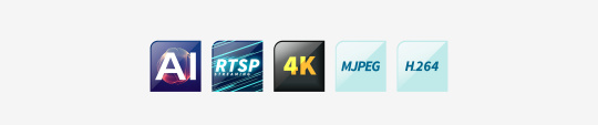 Icons with labels AI, RTSP, 4K, MJPEG, H264